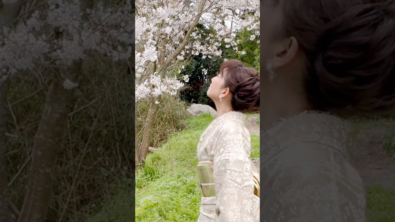 花楽・きもの四季彩・桜撮影会！次回はツツジ #kimono #着物 #山内豊翠