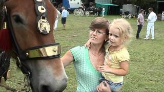 Tuigpaardenconcours 2011