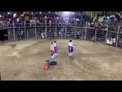 Gatos del norte en chilanga Morazan 2023