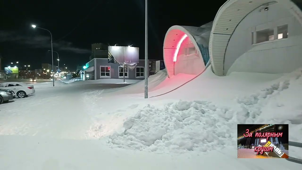 Воркута. 11.01.26. Выгуливаю новогодний майонез🤣🤣🤣