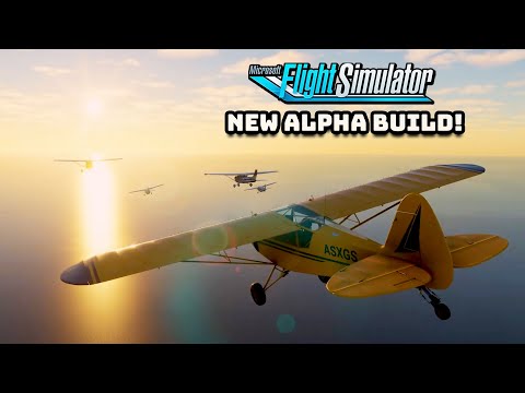 New Flight Simulator 2020 ALPHA BUILD! (1.2.5)