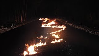 Bob Moses - Back Down (Official Audio)