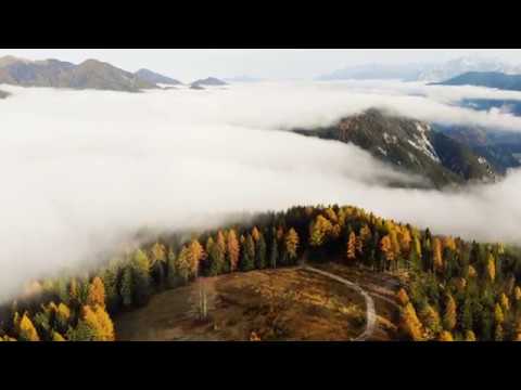 autumn vibes friuli 4K