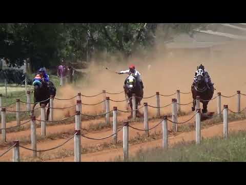 FINAL - GP ENCERRAMENTO DA TEMPORADA  RIO PARDO  - 450M  - HEART TIGER