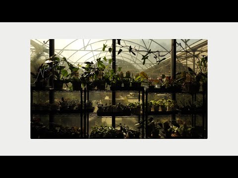 To: __________ | 1 hour cozy jazz at Norwood Gardens