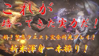 アプデ来たー！ワクワクしながら新・緊急クエストに突撃してきました【モンスターハンターライズ/モンハンライズ/MHRise】