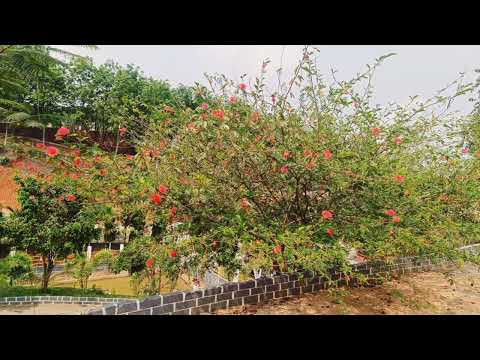 Wada Kar Le Sajna Tere Bina Mein Na Rahu 😍❤