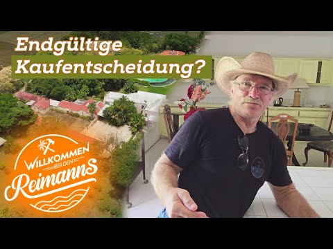 Küchen-Knatsch und Kellerkneipe? Die Reimanns treffen HEUTE die Kaufentscheidung!