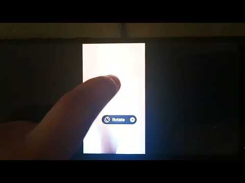 The SpongeBob CookiePants Movie (2004) Lion