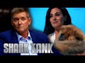 Will This Puppy Owner Convince The Sharks Shark Tank AUS
