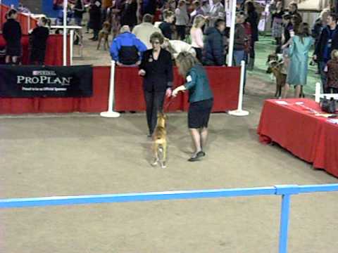 Desi 1st show Canada