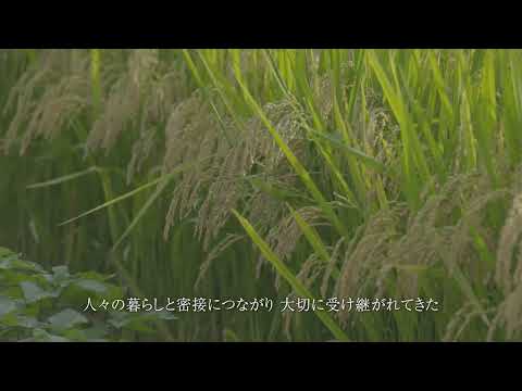 【2024年度】平石の棚田