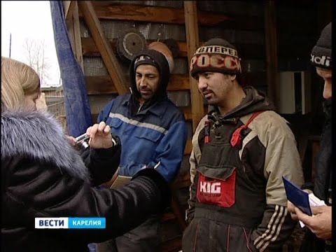 Рейд по выявлению нелегальных мигрантов прошёл в Петрозаводске