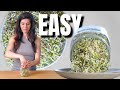 How To Grow Broccoli Sprouts In 5 Days
