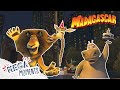 Ultimate Madagascar Special Madagascar 1 3 Compilation Mega Moments