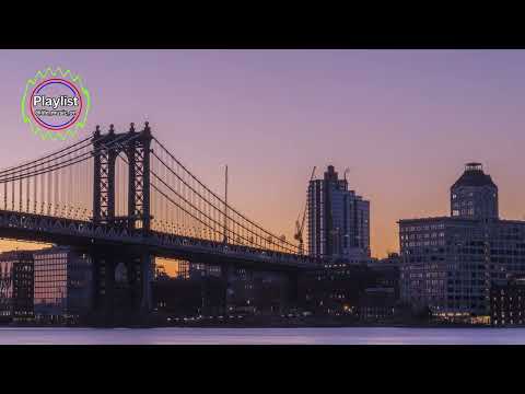 🎵 Better Came Along - Siine ft. Danny Shea | #PopVibes