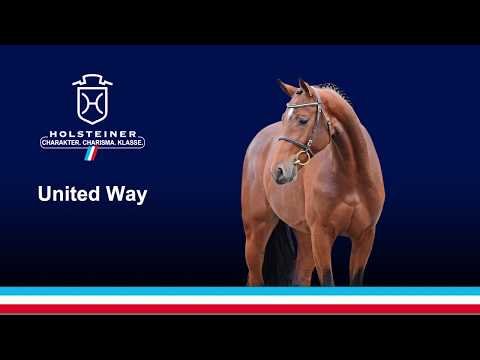 Die Verbandshengste 2020 - United Way v. Uriko-Concerto II