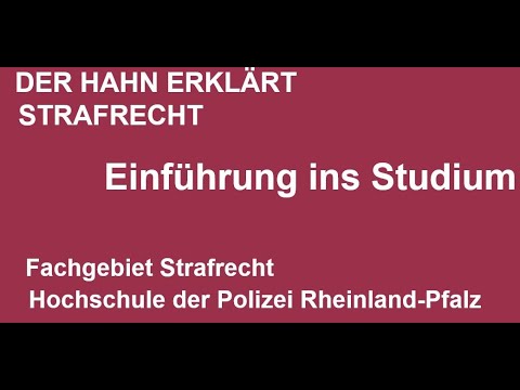 Der Hahn erklärt Strafrecht - Einführungsveranstaltung Modul 1