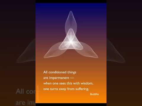 Buddhism for the busy mind: MAITRI by Julie Kelly