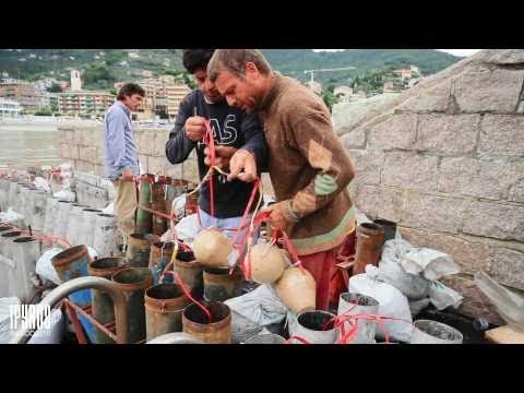 ᴴᴰ Recco 2010 / Q. Liceto / cav. Ugo Lieto / Setup (preparazione)