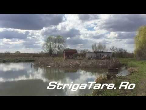 Restaurantul pescaresc Cefa - Popas, pescarie Cefa, agrement