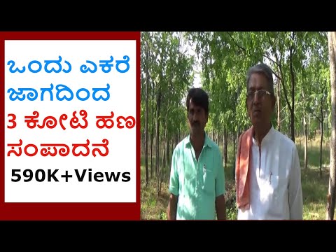 Sandalwood and Melio dubio (santalum album) successful forest farming