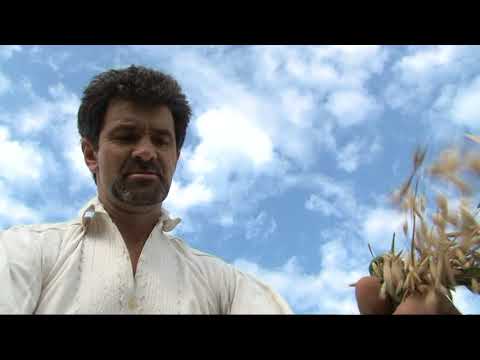 La coasa in Varciorog