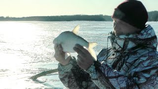 Рыбалка на оби новосибирская область сузун