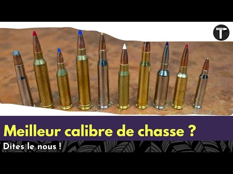 Quel est le meilleur calibre de #chasse ? Dites le nous !