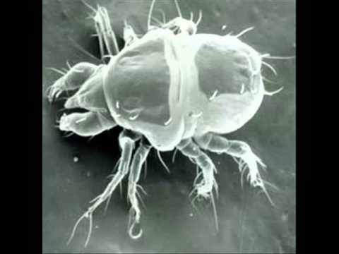 Serdar Ortac Mikrop - Club House Super 2018 Remix 2