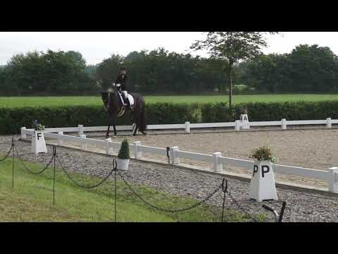 Fibo Börnsen 03/07/2021