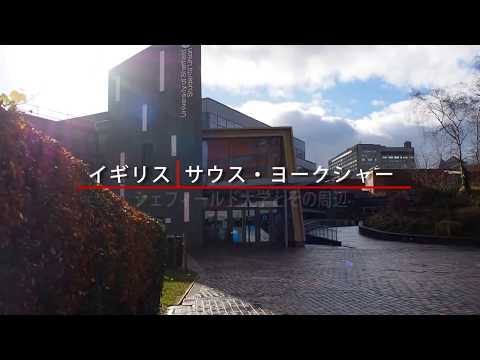 早稲田大学留学リポート2018 #1イギリス・シェフィールド大学