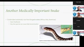 Snake Identification and Snake Bite Management
