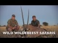 GEMSBUCK Hunt At The Wild Wildebeest Safari Lodge