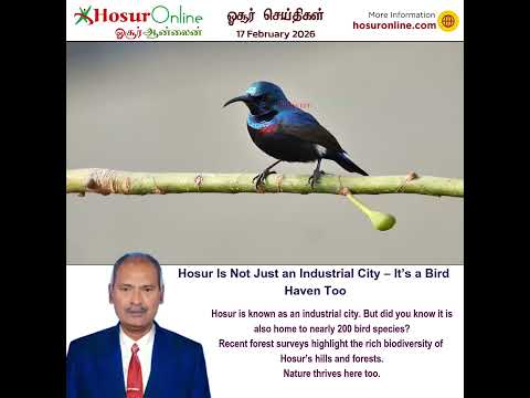 Nearly 200 Bird Species Recorded in Hosur Forest Region