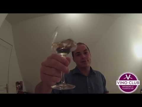 Dégustation Vin Muscadet Sèvre et Maine Lie Domaine de la Tourlaudière