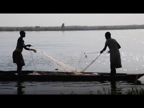 State of Food Security and Nutrition in The World 2025