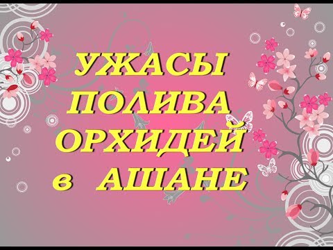 Ашан:УЖАСЫ ПОЛИВА ОРХИДЕЙ,ТЦ "Космопорт",Самара,09.05.2019.