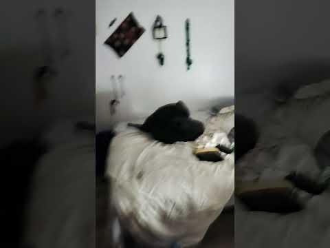 #hard at work ALL fkn night 🙄🙄🙄