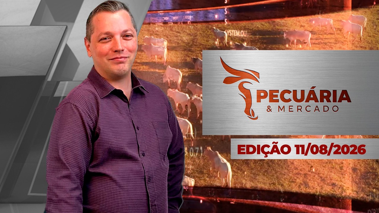 Mercado do boi segue acomodado com escala de abates mais alongadas