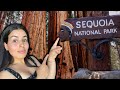 Sequoia National Park Winter Kings Canyon National Park California National Parks