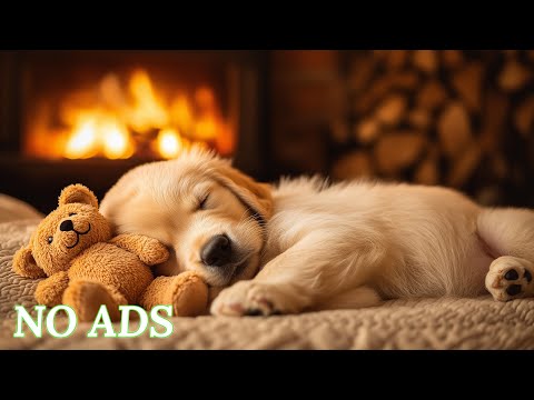 12 Hours of Dog Calming Music 🐶 Dog Anti-Separation Anxiety Relief Music 🐶🎵 Deep Sleep Music