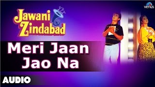 Jawani Zindabad : Meri Jaan Jao Na Full Audio - YouTube