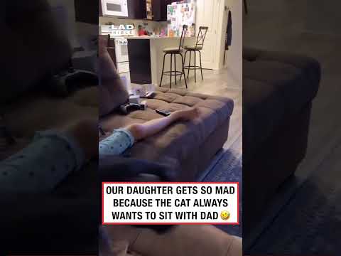 Our daughter gets so mad because the cat always wants to sit with dad 🤣 (🎥: Collab)