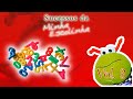 25 Motorista CD Sucessos Da Minha Escolinha Vol 3