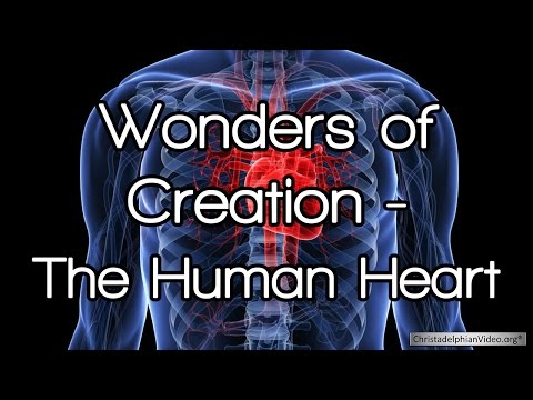 download lagu mp3 mp4 Wonders Of The Heart, download lagu Wonders Of The Heart gratis, unduh video klip Wonders Of The Heart