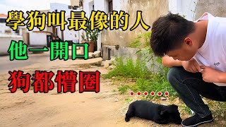 [問卦] 帶吉娃娃坐寧靜車廂一直叫怎辦