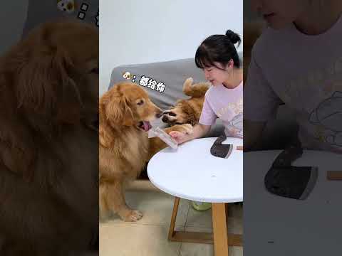 Siempre piensa en dejar un bocado a su esposa, sin importar cuándo