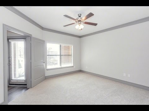 1BD 1BA Davis Development Apartment For Rent