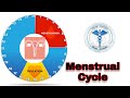 Menstrual Cycle | Nursing Lecture